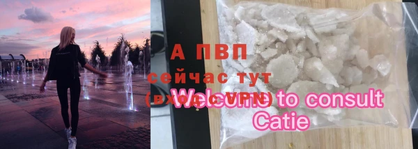 прущие грибы Костерёво