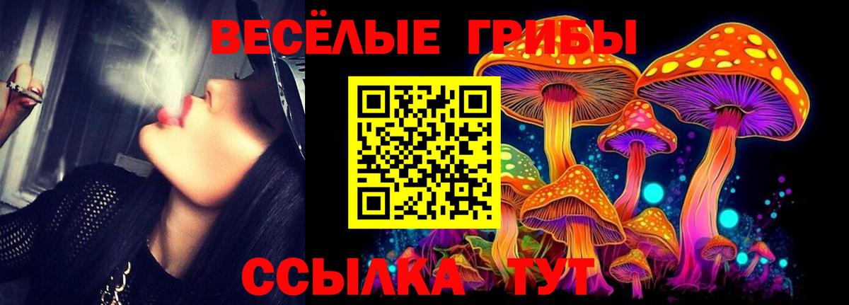 Псилоцибиновые грибы ЛСД Миасс